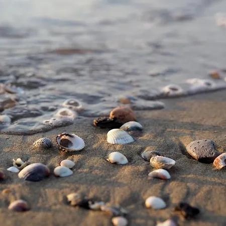 Daire Sand, Sun, And Enjoy Your Escape