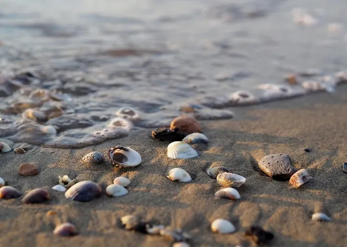 Apartmán Sand, Sun, And Enjoy Your Escape